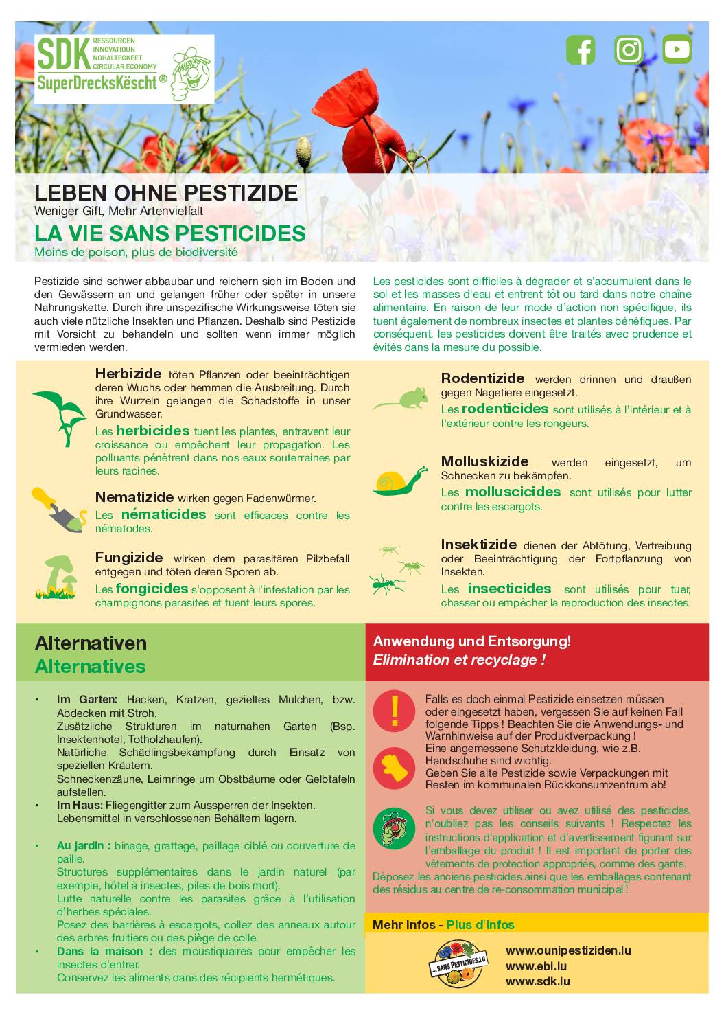 Pesticides - Pestizide