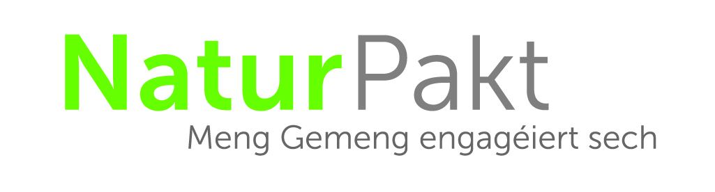 LOGO_PN_QUADRI_BASE