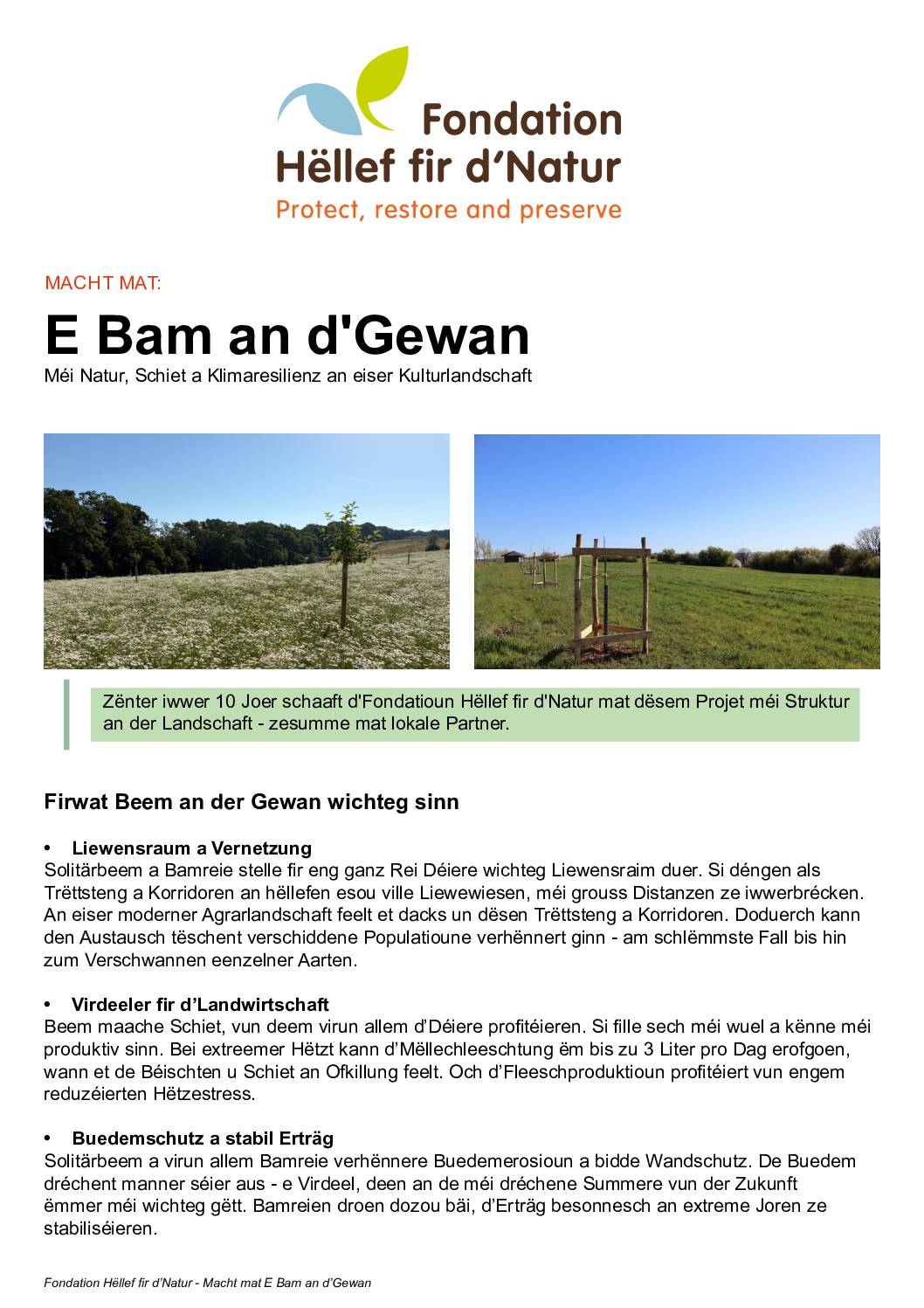 E Bam an d'Gewan