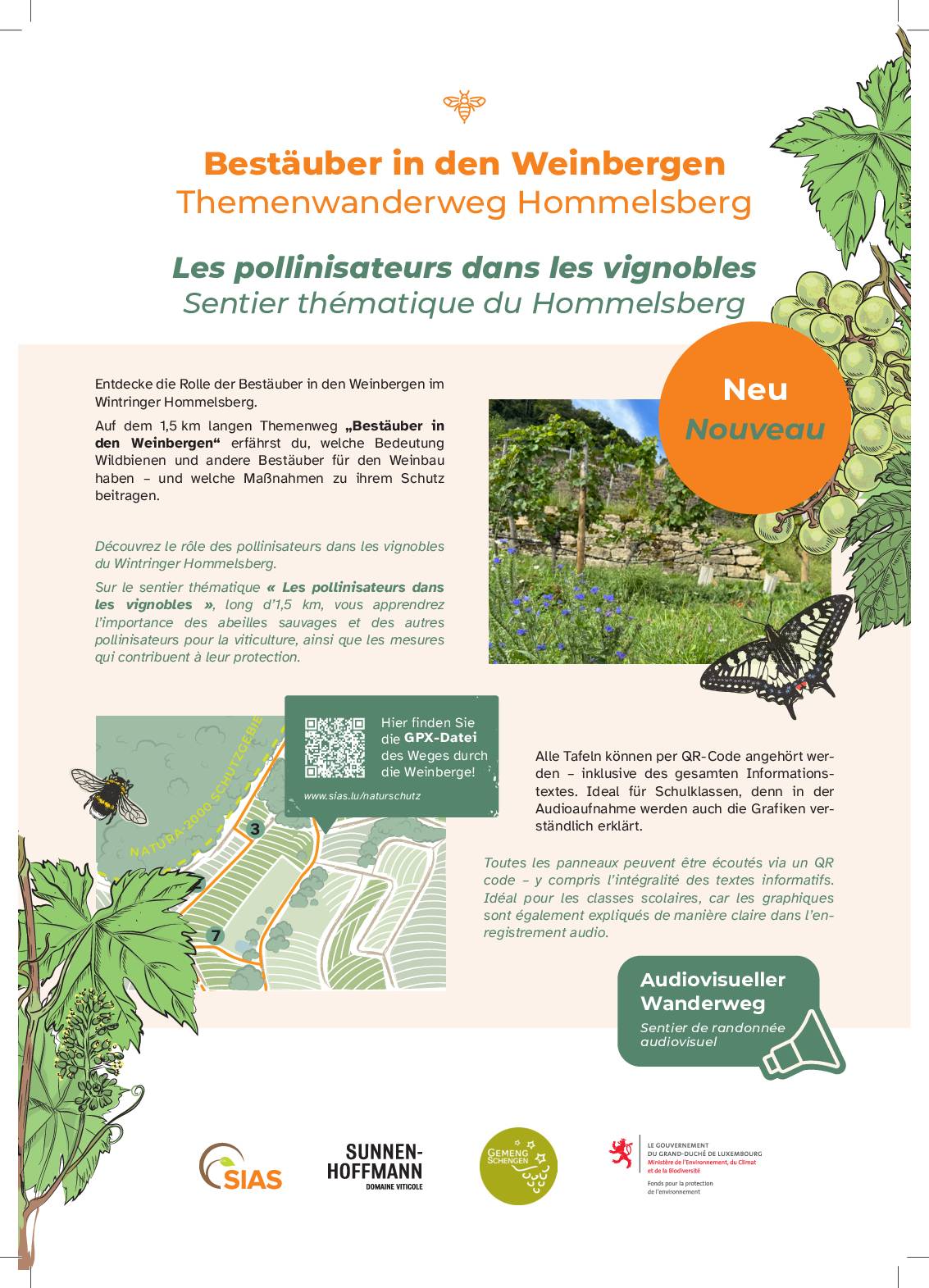 Les pollinisateurs dans les vignobles / Bestäuber in den Weinbergen