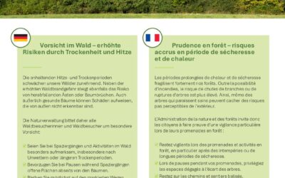 Prudence en forêt / Vorsicht im Wald