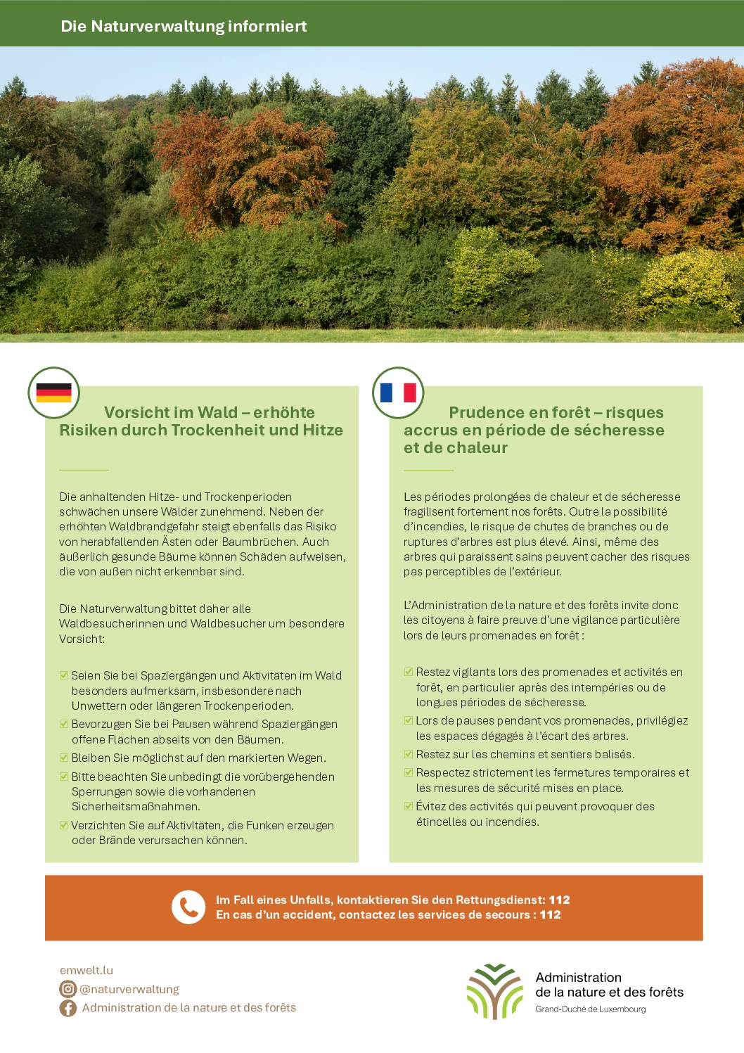 Prudence en forêt / Vorsicht im Wald